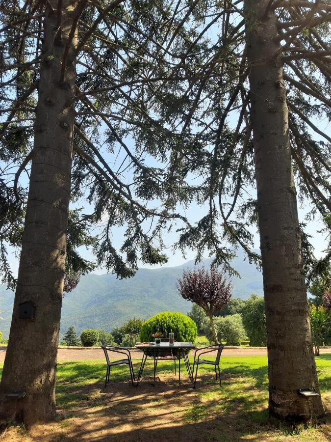 Casa Les Espelmes Villa Arbúcies Buitenkant foto